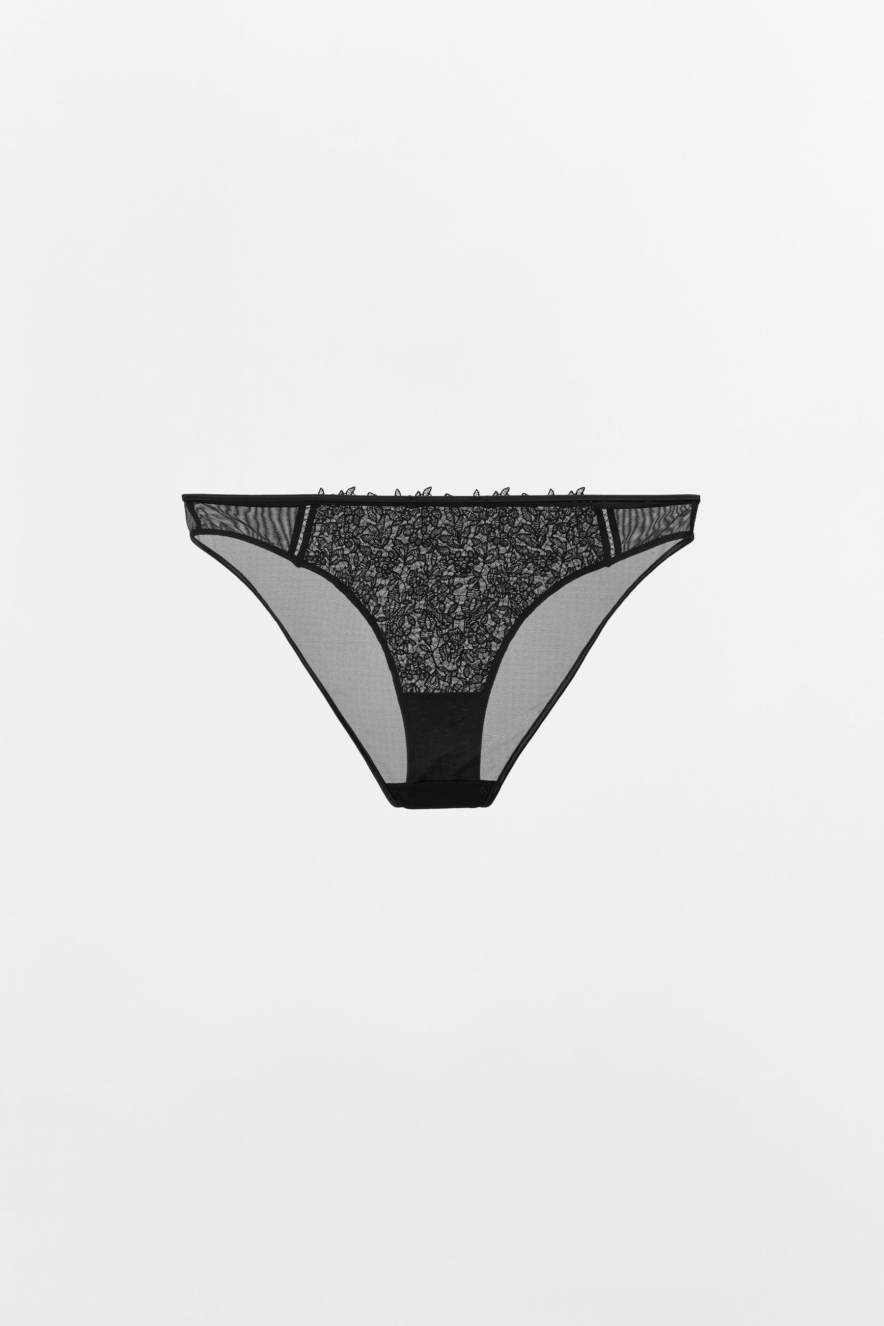 LACE MESH BRIEFS