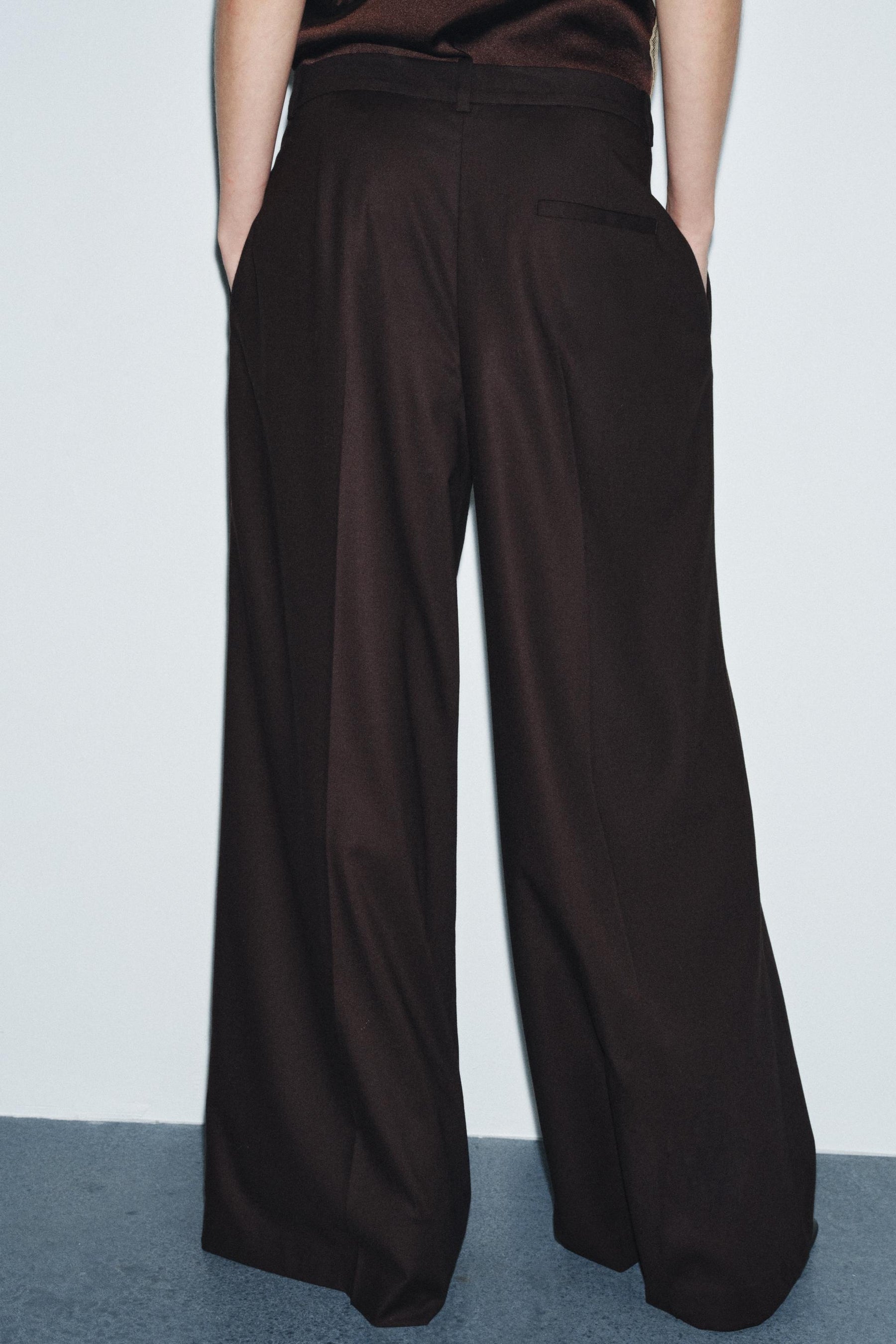 Wide-Leg Trousers with Pleats