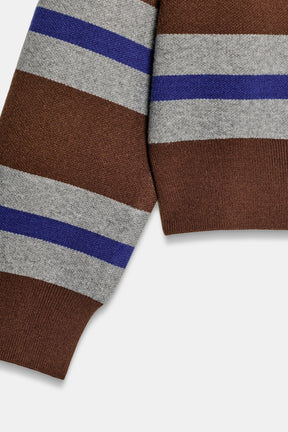 Striped Knit Polo Shirt