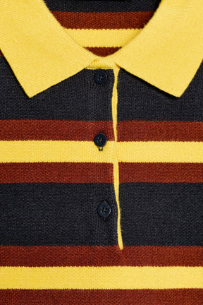 Striped Knit Polo Shirt